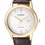 citi3